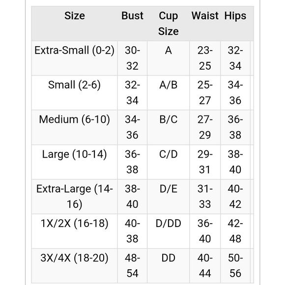 Spirit Adult Fancy School Girl Halloween Costume Teachers Pet Party Size S 2-6 - Picture 10 of 10